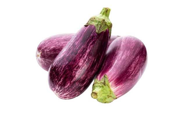 Brinjal